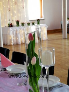 sala w bukowsku (3)